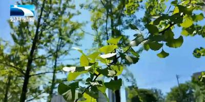 科普大讲堂 | 夏季养生正当时 调护身心很关键