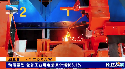 长江观察：湖北向上·半年经济观察 | 动能强劲 全省工业用电量累计增长5.1%