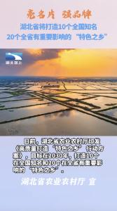 湖北将打造10个全国知名“特色之乡”