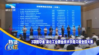 3项目夺金 湖北工业职业技术学院闪耀全国大赛