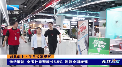 湖北向上·半年经济观察丨激活潜能 全省社零额增长6.9% 跑赢全国增速
