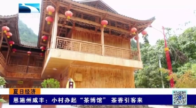 恩施州咸丰：小村办起“茶博馆”  茶香引客来