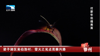 鄂州梁子湖区吴伯浩村：萤火之光点亮振兴路