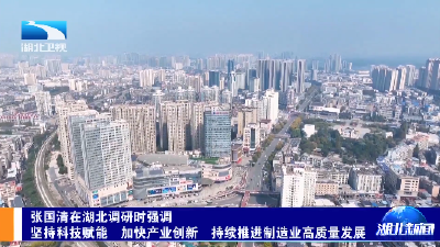张国清在湖北调研时强调 坚持科技赋能 加快产业创新 持续推进制造业高质量发展