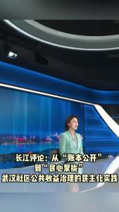 长江评论：从 “账本公开” 到 “民心聚拢” 武汉社区公共收益治理的民主化实践