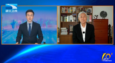 视频连线：中国宏观经济研究院研究员张燕生