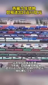 西藏今年货物贸易进出口近50亿元