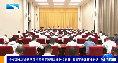 全省深化涉企执法突出问题专项整治推进会召开 诸葛宇杰出席并讲话