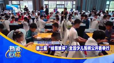 第二届“绿葱坡杯”全国少儿围棋公开赛举行