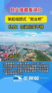 就业援藏看湖北 架起组团式“就业桥”