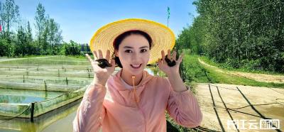 央视大型节目来随采访 记者体验高温下的劳动