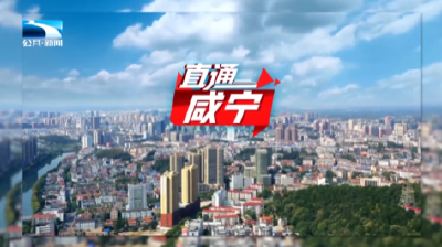 直通咸宁 | 锲而不舍落实中央八项规定精神·办实事解难题
