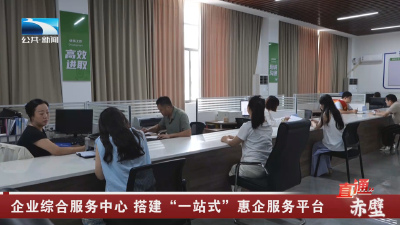 赤壁：企业综合服务中心 搭建“一站式”惠企服务平台