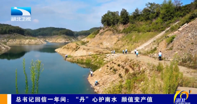 总书记回信一年间：“丹”心护南水 颜值变产值