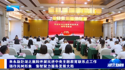 朱永新赴湖北襄阳开展民进中央主题教育联系点工作 强作风树形象 集智聚力服务发展大局