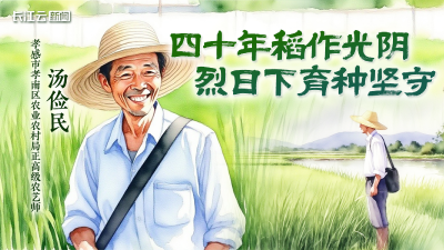 汤俭民：四十年稻作光阴 烈日下育种坚守