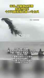 海浪+风暴潮双预警，南海热低压今天可能加强为第14号台风