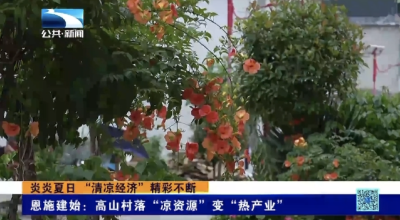 恩施建始：高山村落“凉资源”变“热产业”