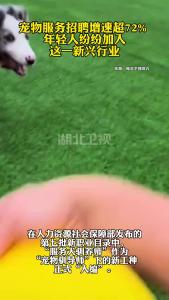 宠物服务招聘增速超72% 年轻人纷纷加入这一新兴行业