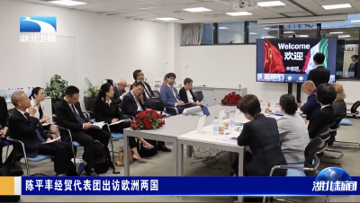 陈平率经贸代表团出访欧洲两国