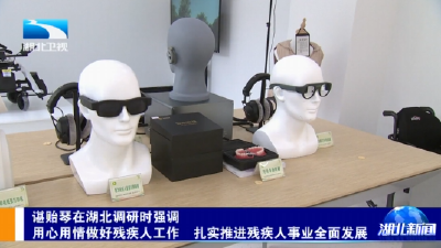 谌贻琴在湖北调研时强调 用心用情做好残疾人工作 扎实推进残疾人事业全面发展