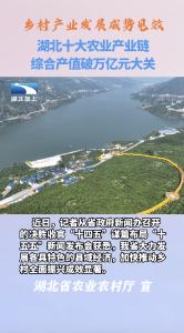 湖北十大农业产业链综合产值破万亿元大关