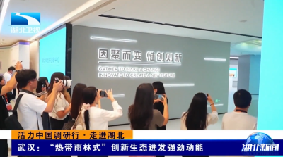 活力中国调研行·走进湖北 | 武汉：“热带雨林式”创新生态迸发强劲动能