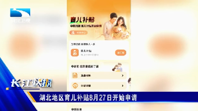 湖北地区育儿补贴8月27日开始申请