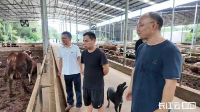襄阳宜城：秋季动物疫病防控工作全面展开