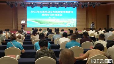 2025年红莲型杂交水稻良繁基地建设暨国际合作推进会在罗田举行