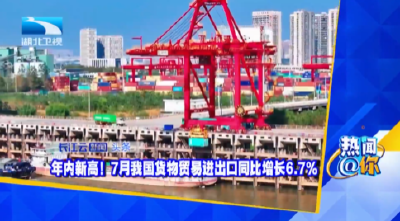 年内新高！7月我国货物贸易进出口同比增长6.7%
