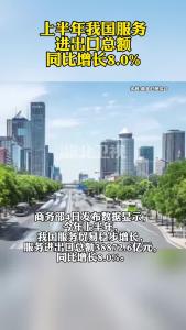 上半年我国服务进出口总额同比增长8.0%