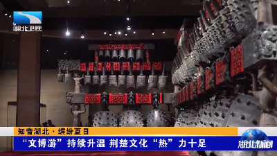 知音湖北 缤纷夏日丨“文博游”持续升温 荆楚文化“热”力十足