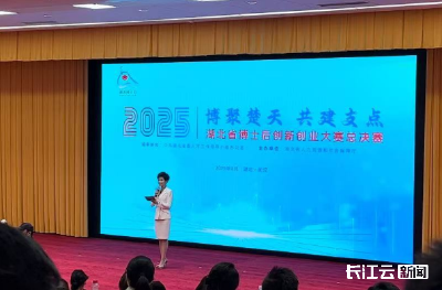 2025年湖北省博士后创新创业大赛总决赛落幕