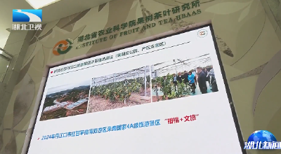 程用文强调 大力推动柑橘产业做大做强
