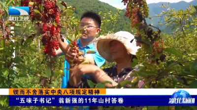 锲而不舍落实中央八项规定精神丨“五味子书记”翁新强的11年山村答卷