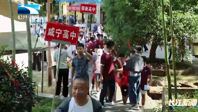 咸宁100名准大学生认养古桂花树记乡愁