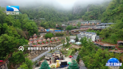 锲而不舍落实中央八项规定精神 | 孙开林：实干绘就乡村共富新画卷