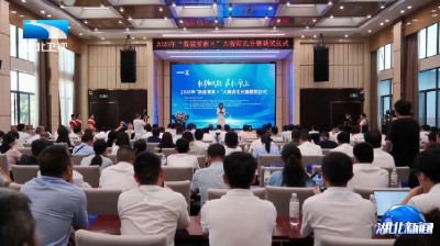 2025年“数据要素×”大赛湖北分赛文化旅游赛道决赛收官