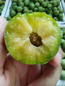 既要又要！宜都这个村巧向土地要效益