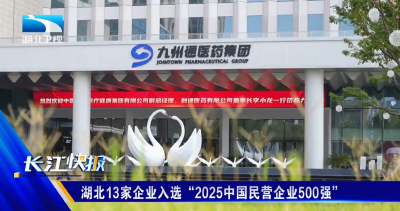 湖北13家企业入选“2025中国民营企业500强”