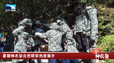 暑期神农架自然研学热度飙升