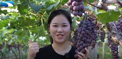 “荆”彩丰收季：水果飘香迎丰收  夏日美味集中上线