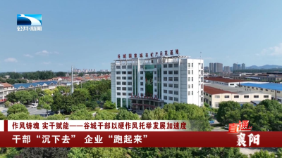 襄阳：干部“沉下去” 企业“跑起来”