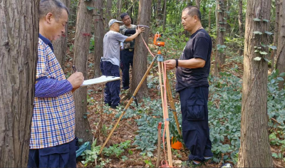 烈日下的“护林人”：他们为中华山森林写下 “绿色账本”