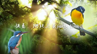 全国生态日，一起舞动知音湖北！