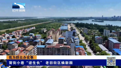 我为群众办实事｜咸宁嘉鱼：背街小巷“逆生长” 老旧街区焕新颜