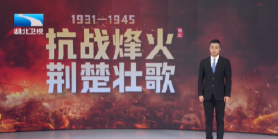 抗战烽火 荆楚壮歌 | 保卫大武汉——长空碧血 陈怀民对撞敌机以身殉国