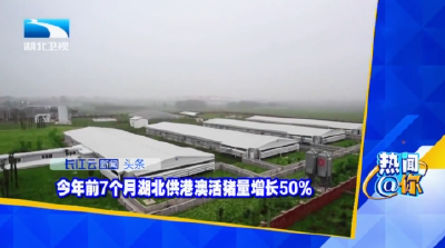 今年前7个月湖北供港澳活猪量增长50%