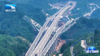 2025年8月26日湖北新闻